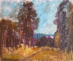 Waldschneise